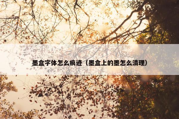 墨盒字体怎么痕迹（墨盒上的墨怎么清理）