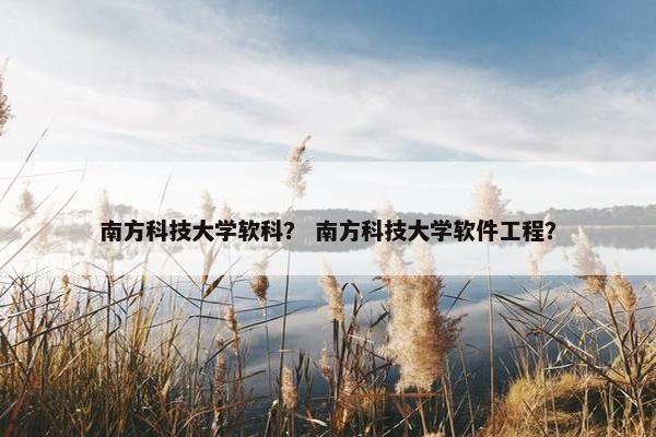 南方科技大学软科？ 南方科技大学软件工程？