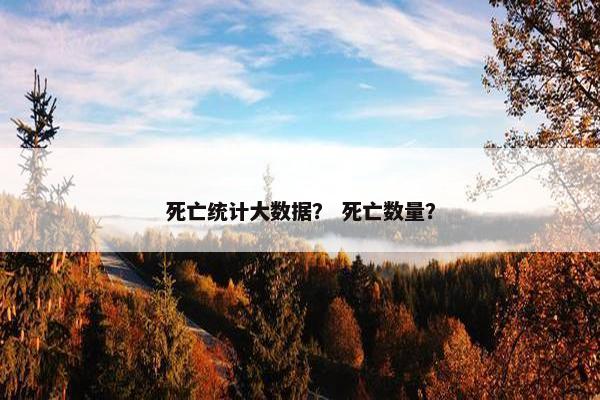 死亡统计大数据？ 死亡数量？