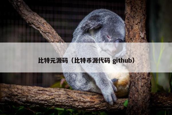 比特元源码（比特币源代码 github）
