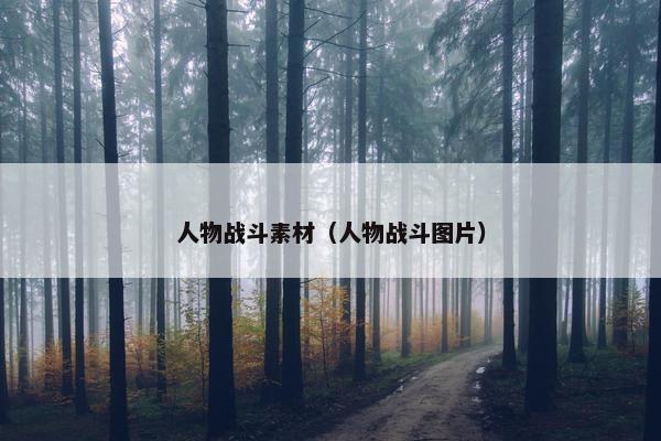 人物战斗素材（人物战斗图片）