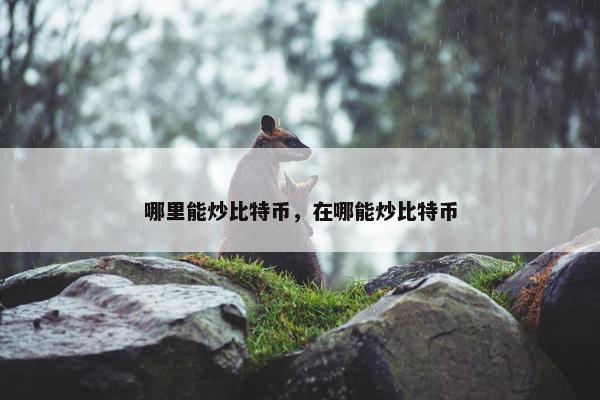 哪里能炒比特币，在哪能炒比特币