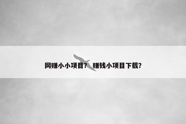 网赚小小项目？ 赚钱小项目下载？