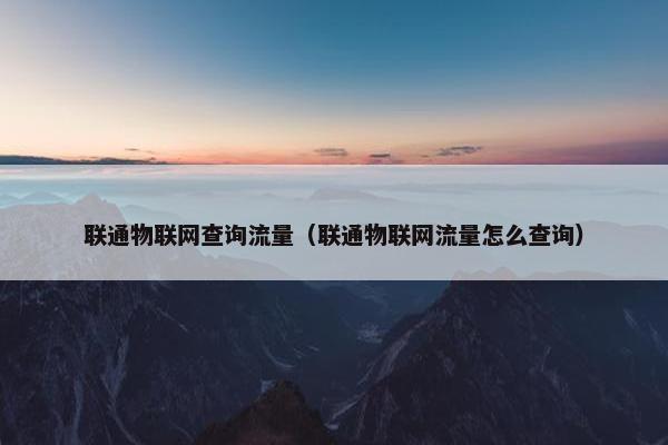 联通物联网查询流量（联通物联网流量怎么查询）