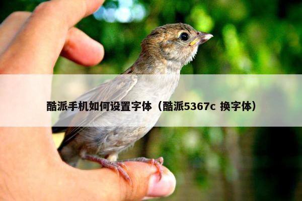 酷派手机如何设置字体（酷派5367c 换字体）
