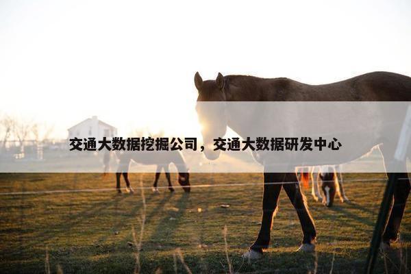 交通大数据挖掘公司，交通大数据研发中心