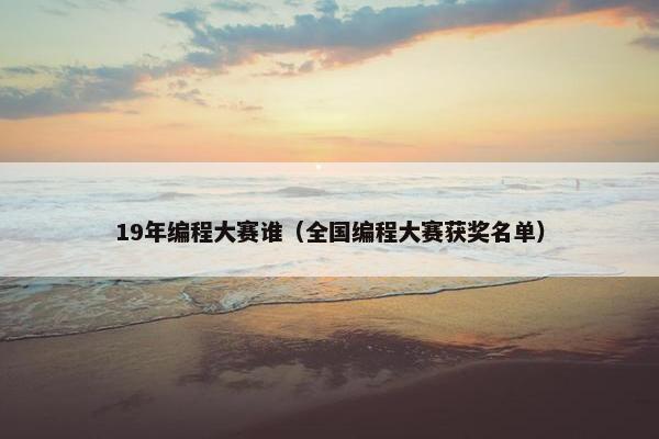 19年编程大赛谁（全国编程大赛获奖名单）