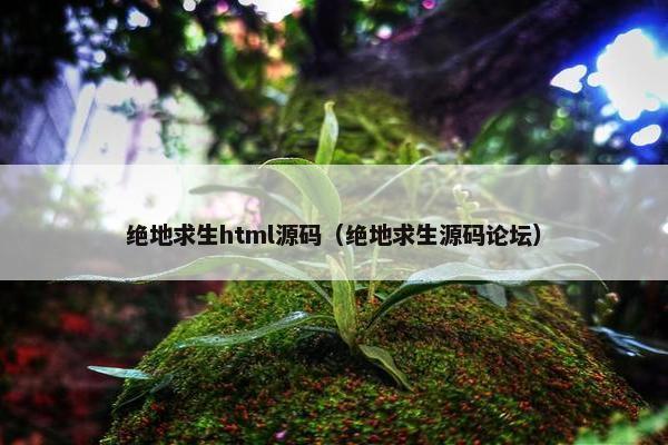 绝地求生html源码（绝地求生源码论坛）