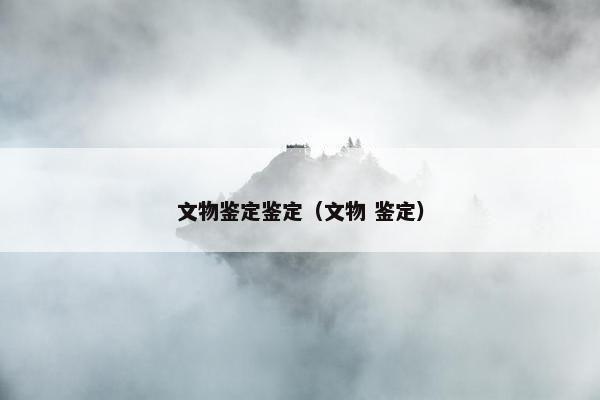 文物鉴定鉴定（文物 鉴定）