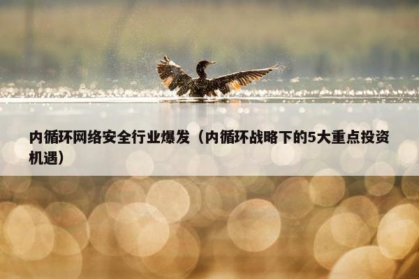 内循环网络安全行业爆发（内循环战略下的5大重点投资机遇）