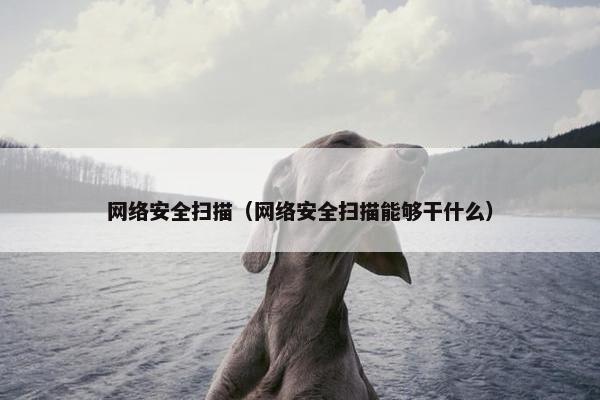 网络安全扫描（网络安全扫描能够干什么）