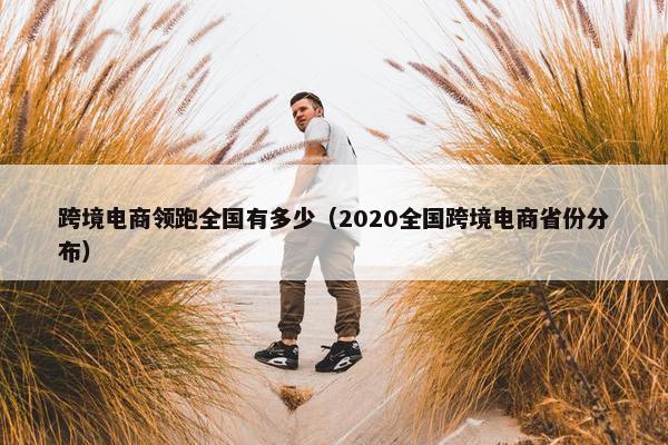 跨境电商领跑全国有多少（2020全国跨境电商省份分布）
