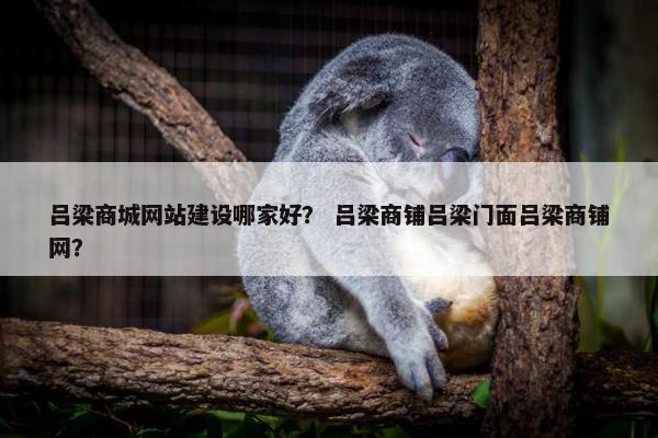 吕梁商城网站建设哪家好？ 吕梁商铺吕梁门面吕梁商铺网？
