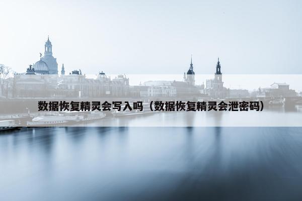 数据恢复精灵会写入吗（数据恢复精灵会泄密码）