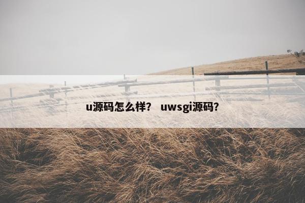 u源码怎么样？ uwsgi源码？