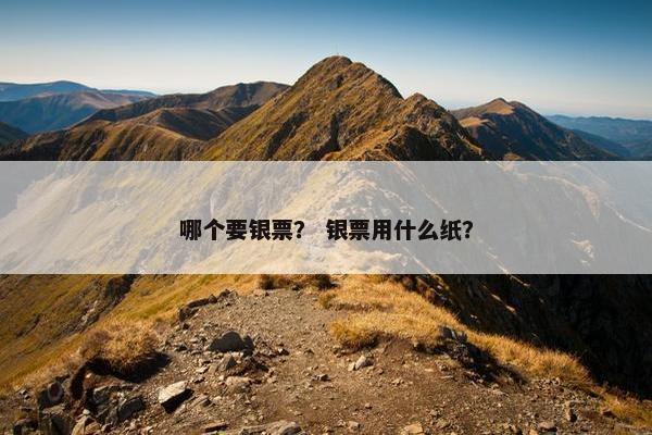 哪个要银票？ 银票用什么纸？