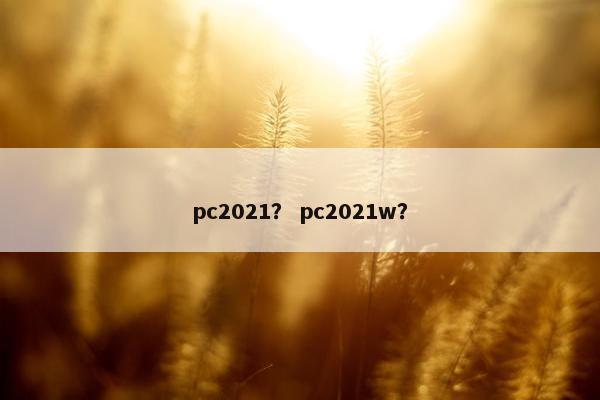 pc2021？ pc2021w？