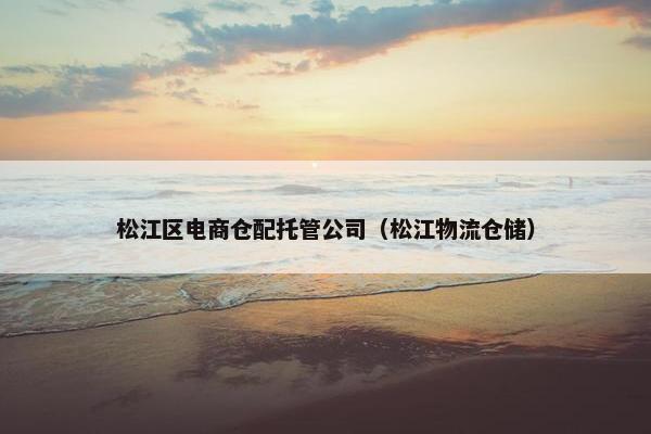 松江区电商仓配托管公司（松江物流仓储）