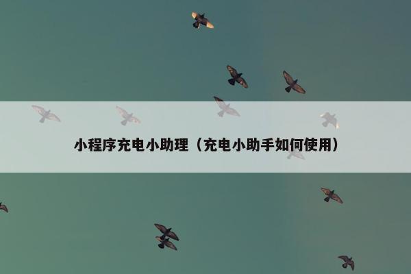 小程序充电小助理（充电小助手如何使用）