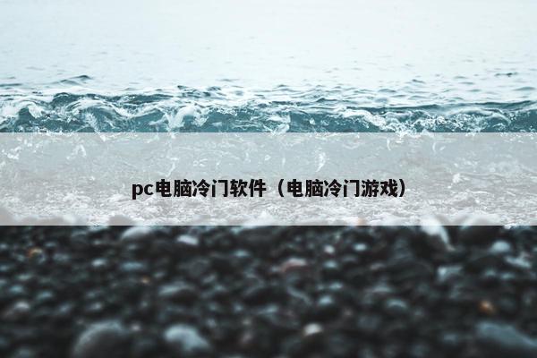 pc电脑冷门软件（电脑冷门游戏）