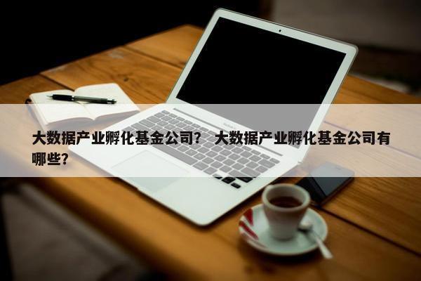 大数据产业孵化基金公司？ 大数据产业孵化基金公司有哪些？