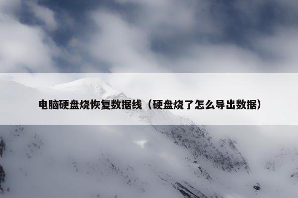 电脑硬盘烧恢复数据线（硬盘烧了怎么导出数据）
