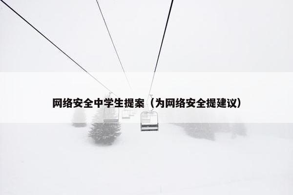 网络安全中学生提案（为网络安全提建议）