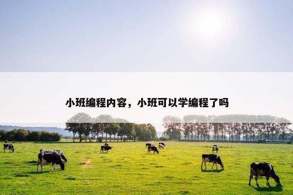 小班编程内容，小班可以学编程了吗