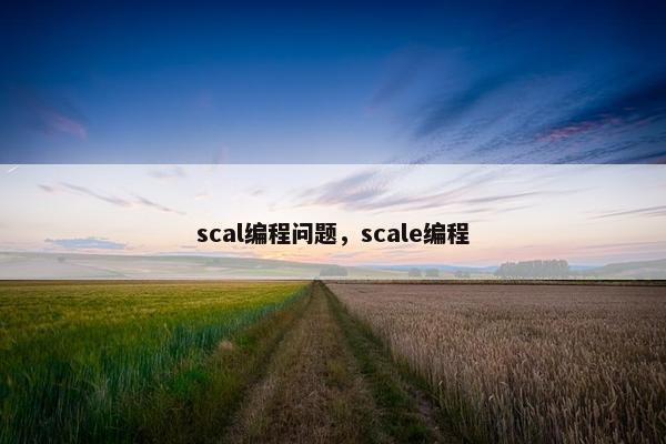 scal编程问题，scale编程