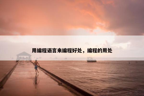 用编程语言来编程好处，编程的用处