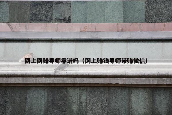 网上网赚导师靠谱吗（网上赚钱导师带赚微信）
