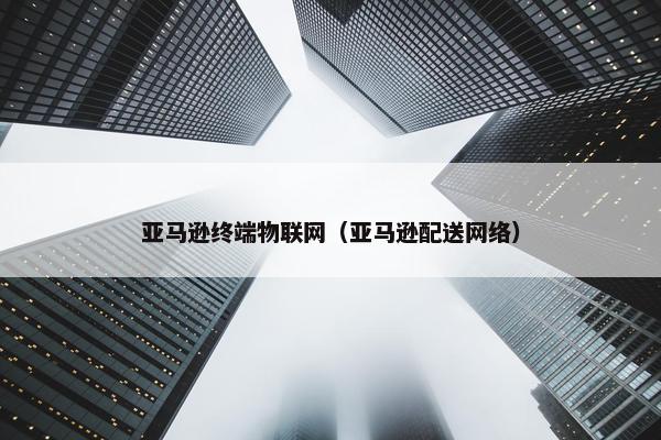 亚马逊终端物联网（亚马逊配送网络）