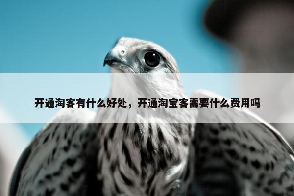开通淘客有什么好处，开通淘宝客需要什么费用吗