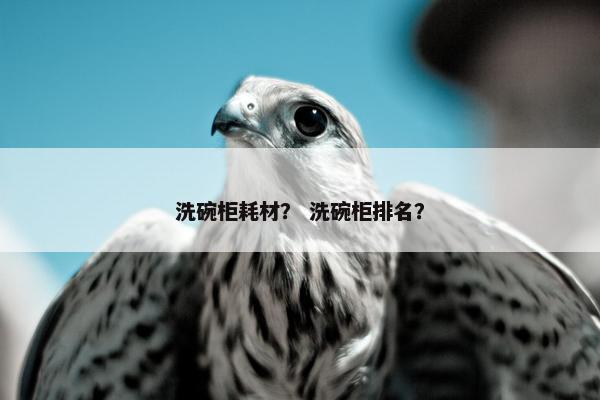 洗碗柜耗材？ 洗碗柜排名？