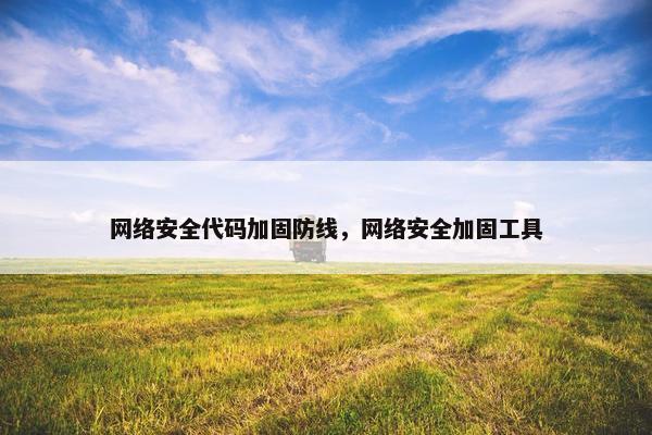 网络安全代码加固防线，网络安全加固工具