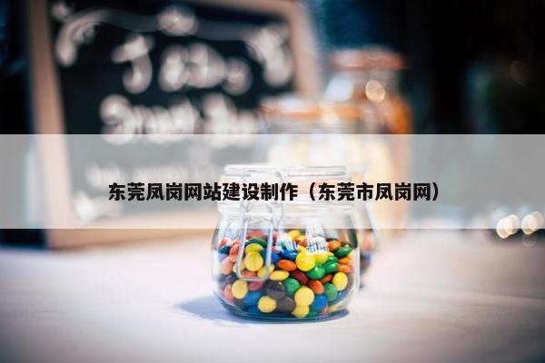 东莞凤岗网站建设制作（东莞市凤岗网）