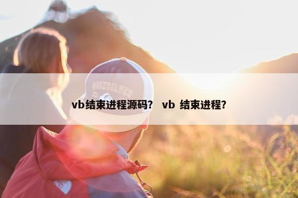 vb结束进程源码？ vb 结束进程？