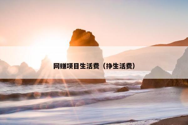 网赚项目生活费（挣生活费）