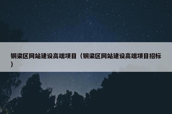 铜梁区网站建设高端项目（铜梁区网站建设高端项目招标）