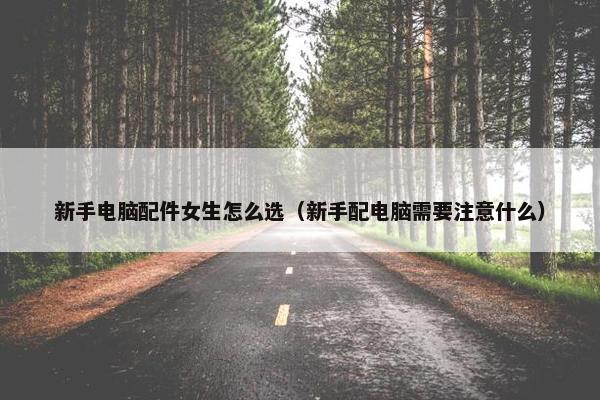 新手电脑配件女生怎么选（新手配电脑需要注意什么）