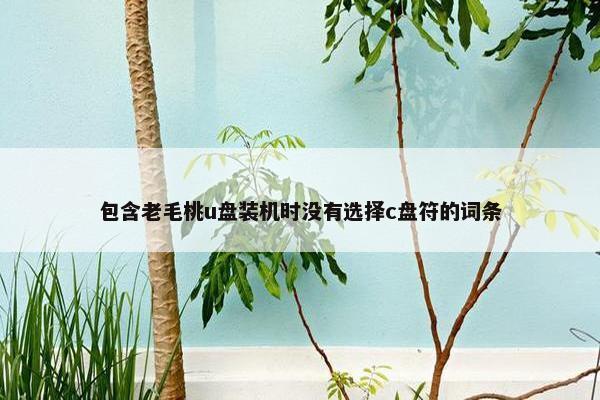 包含老毛桃u盘装机时没有选择c盘符的词条