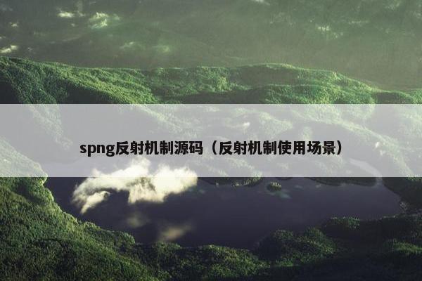 spng反射机制源码（反射机制使用场景）