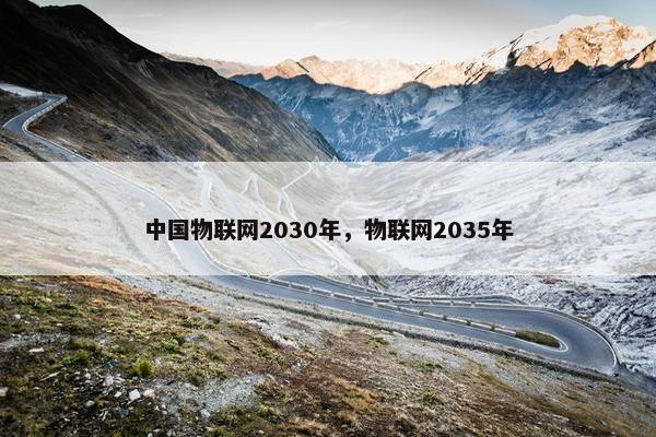 中国物联网2030年，物联网2035年