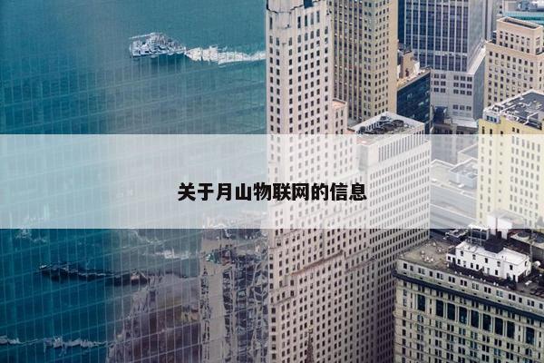 关于月山物联网的信息