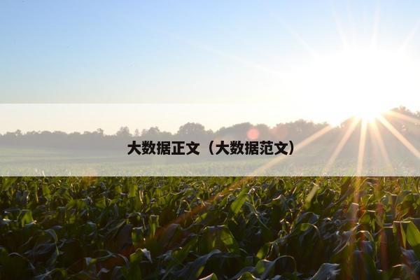 大数据正文（大数据范文）