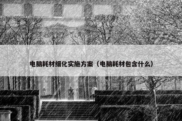 电脑耗材细化实施方案（电脑耗材包含什么）