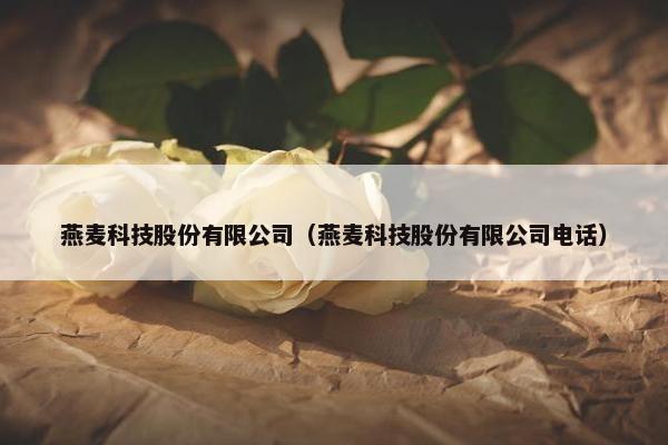 燕麦科技股份有限公司（燕麦科技股份有限公司电话）