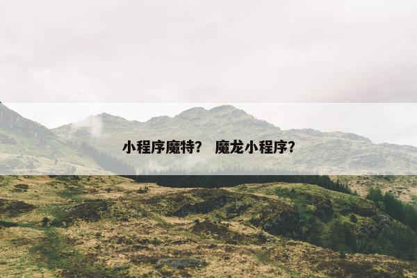 小程序魔特？ 魔龙小程序？