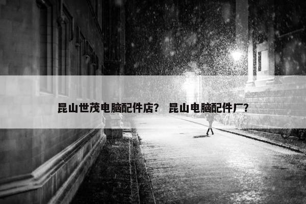昆山世茂电脑配件店？ 昆山电脑配件厂？