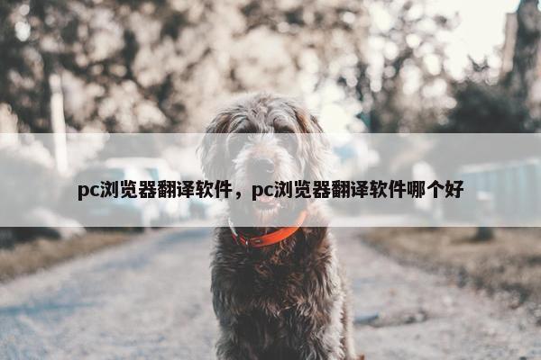 pc浏览器翻译软件，pc浏览器翻译软件哪个好